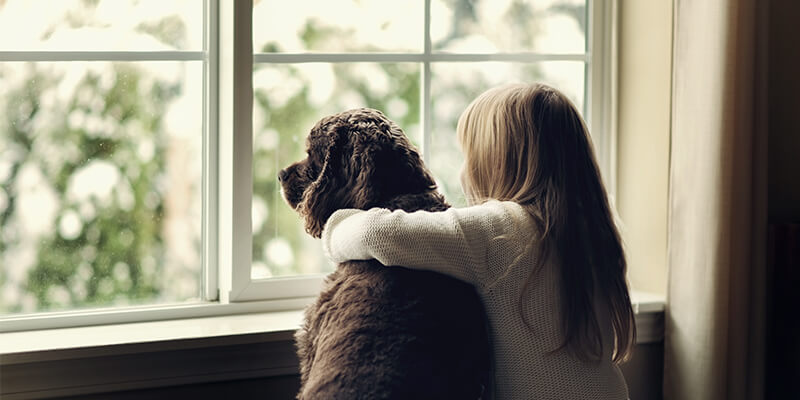 girl and dog at window